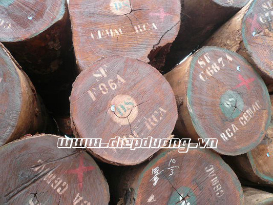 Gỗ Hương
